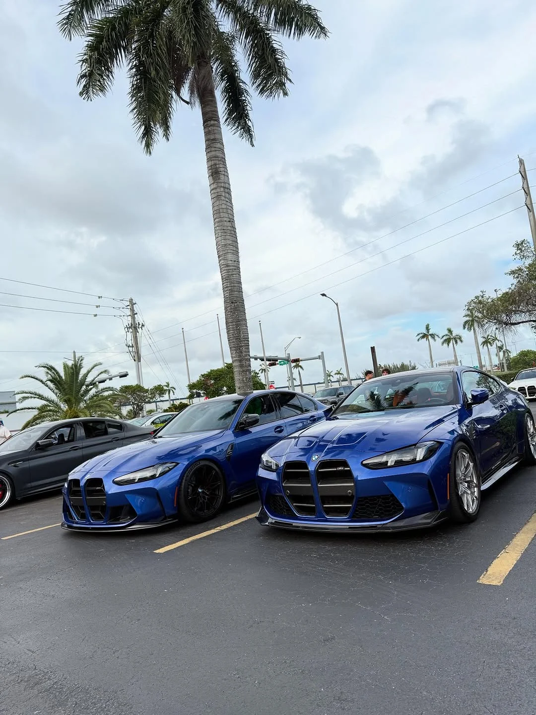 Two blue G82 M4s parked together under palm trees